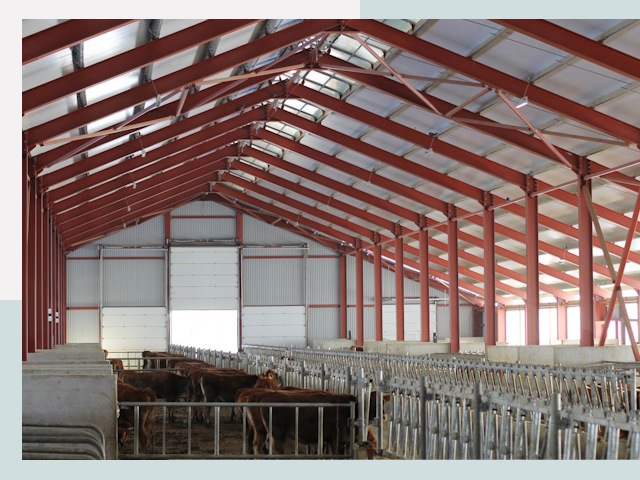 Строительство коровников в Серпухове