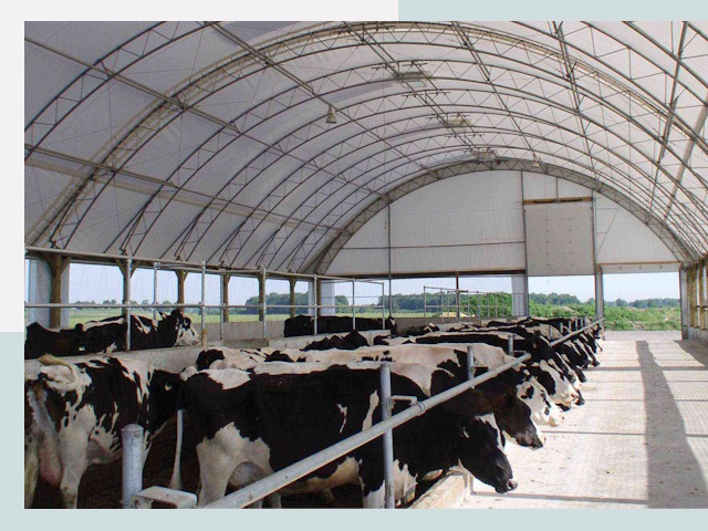 Тентовые коровники в Серпухове